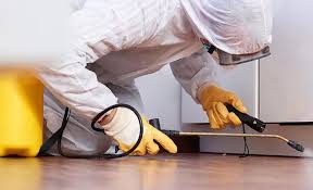 Reliable Midland, PA Pest Control Solutions